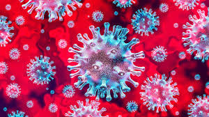 Resultado de imagen de coronavirus imagen