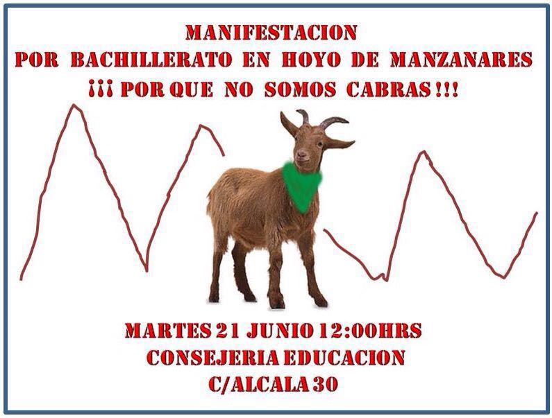 Manifestación 21 de junio por un bachillerato en Hoyo de Manzanares